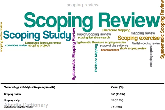 scoping review